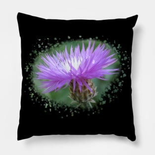 purple flower, blooms, flowers, nature Pillow