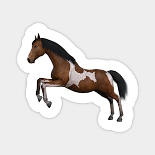 Pain Horse Magnet