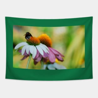 Echinacea Purpurea with Bee Tapestry