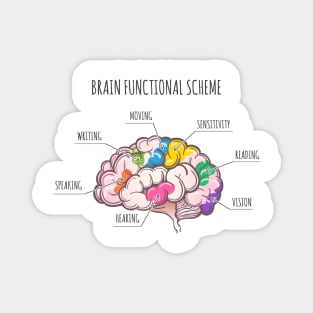 Human Brain Functional Scheme. Magnet