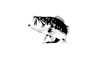 Bass Fishing Hook Set Lure Quote Largemouth Funny Magnet