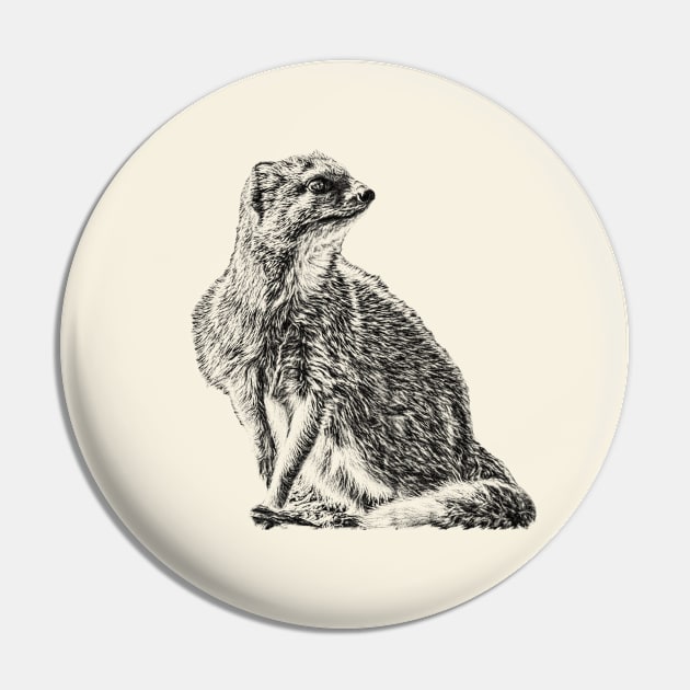 Yellow mongoose Pin by Guardi