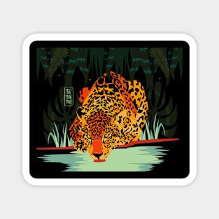 Wild Jaguar at Night Magnet