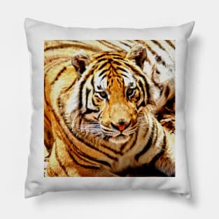 Bengal Tiger Pillow