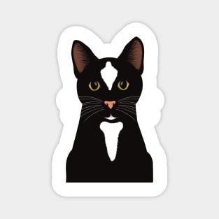 Hey! What are you doing? Cute curious Black cat watching you. Magnet