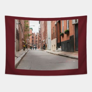 Boston back street background image with focus on foreground and blurry urban beyond, USA. Tapestry