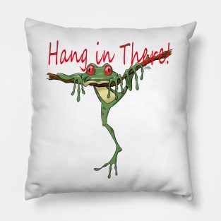 Hang in there! Pillow