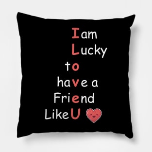 I am lucky to have a friend like you Pillow