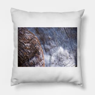 Tree Bark Pillow