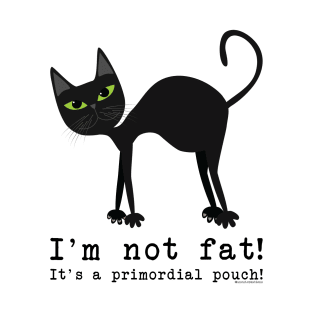 I'm not fat! T-Shirt