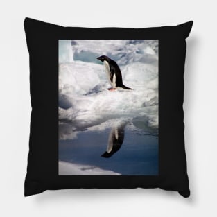 Adelie Penguin in a Reflective Mood Pillow