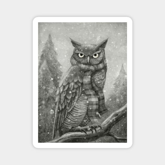 Winter Owl Magnet by Terry Fan