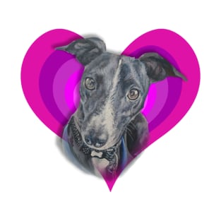 Stunning whippet painting on a rainbow heart! T-Shirt