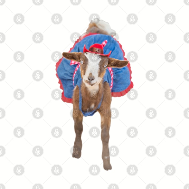 Cowgirl Goat by Ory Photography Designs