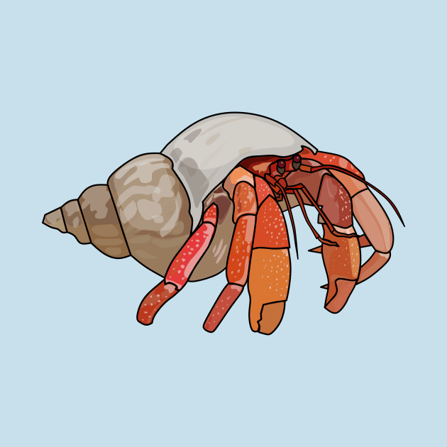 Hermit crab cartoon illustration by Miss Cartoon