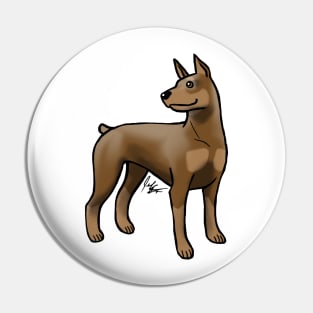 Dog - Doberman Pinscher - Brown and Tan Pin