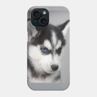 Husky puppy Phone Case