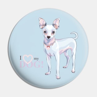 cute dog Chihuahua breed smiling Pin