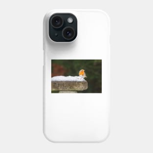 Robin Redbreast in Snow Phone Case
