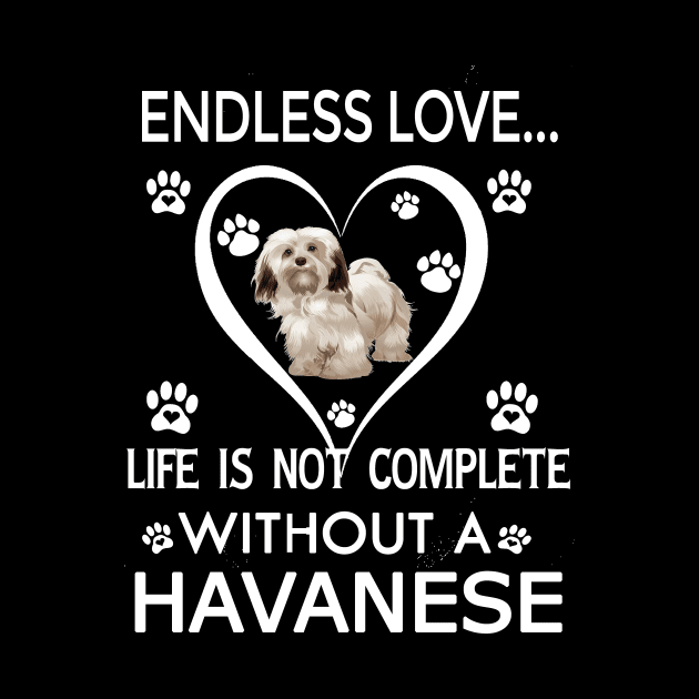 Havanese Lovers by bienvaem