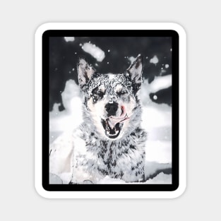 Wolf snow dog Magnet