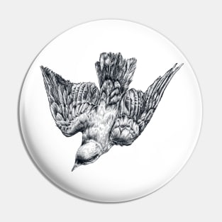 Splendid Starling Pin