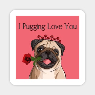 I pugging love you - Pug Valentine's Magnet
