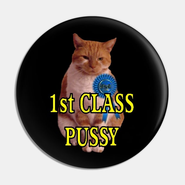 1st class pussy Pin by Stiffmiddlefinger