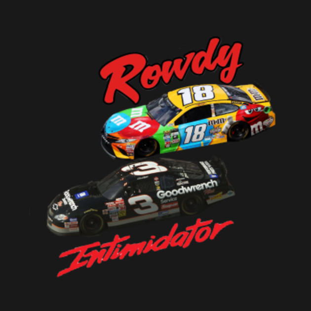 dale earnhardt kyle busch