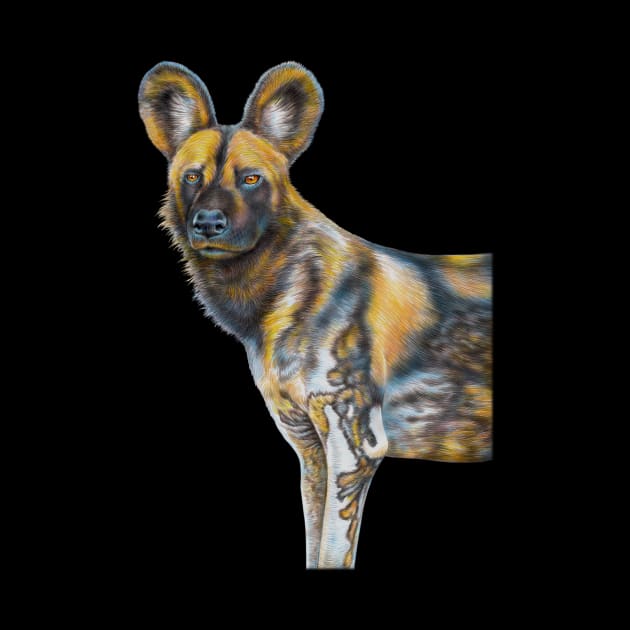 African Wild Dog by Tim Jeffs Art