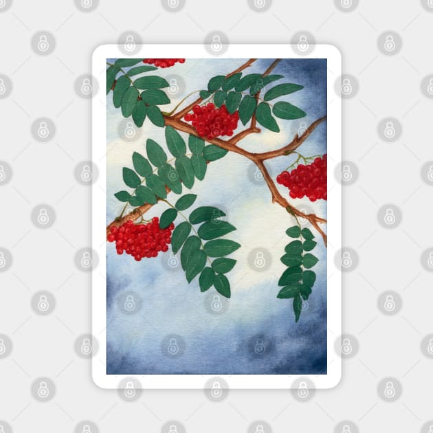 MOUNTAIN ASH LEAVES TREE TREES BLUE SKY SPRING SEASONS Magnet by BeautyMoment