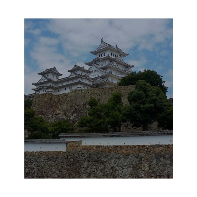Himeji Castle by IgorPozdnyakov