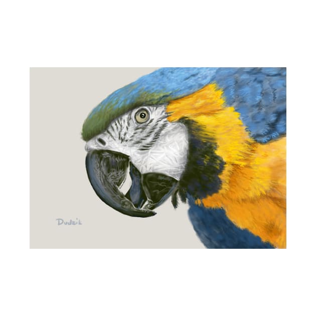 Blue and Gold Macaw Parrot by Dudzik Art