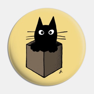 Black Cat in a Cardboard Box Pin