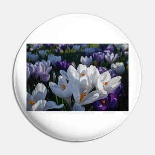 The flowers that bloom in the Spring tra la! (2) Pin