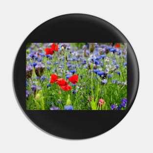 Poppies and Cornflowers growing wild Pin