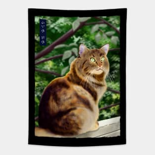 Maine Coon - Black Tapestry