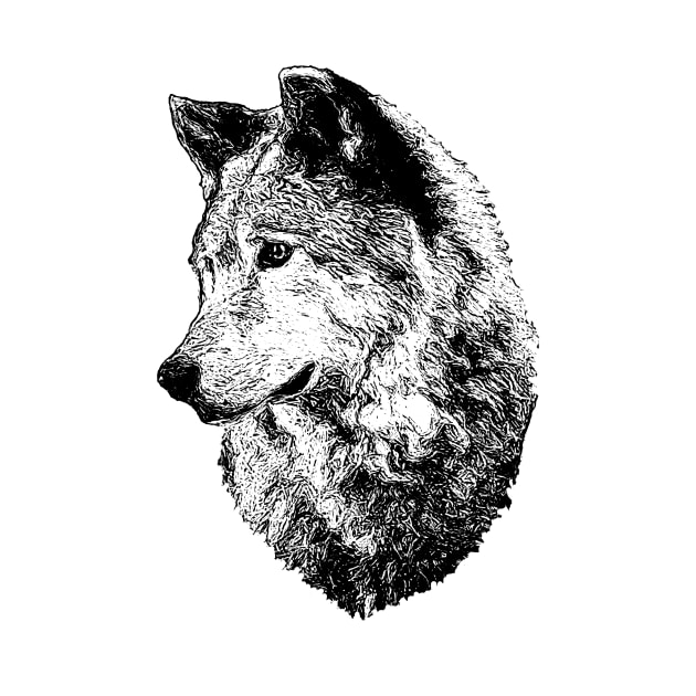 Wolf portrait by Guardi