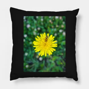 Dandelion Pillow