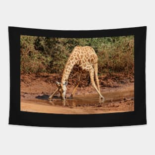 Giraffe Drinking Tapestry