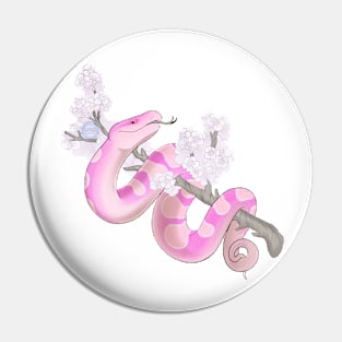 White Sakura Ball Python: Pink Pin