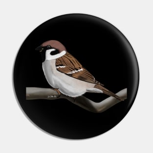 Sparrow Bird Illustration Pin