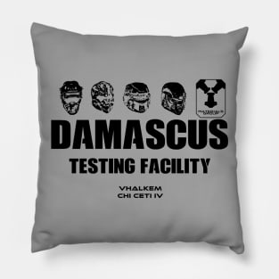 HALO-Damascus Testing Facility Pillow