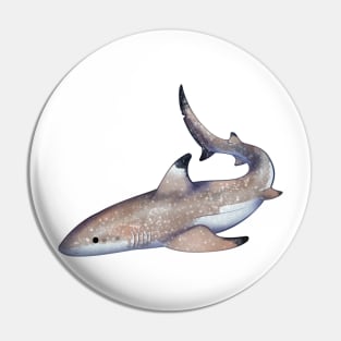 Cozy Blacktip Reef Shark Pin