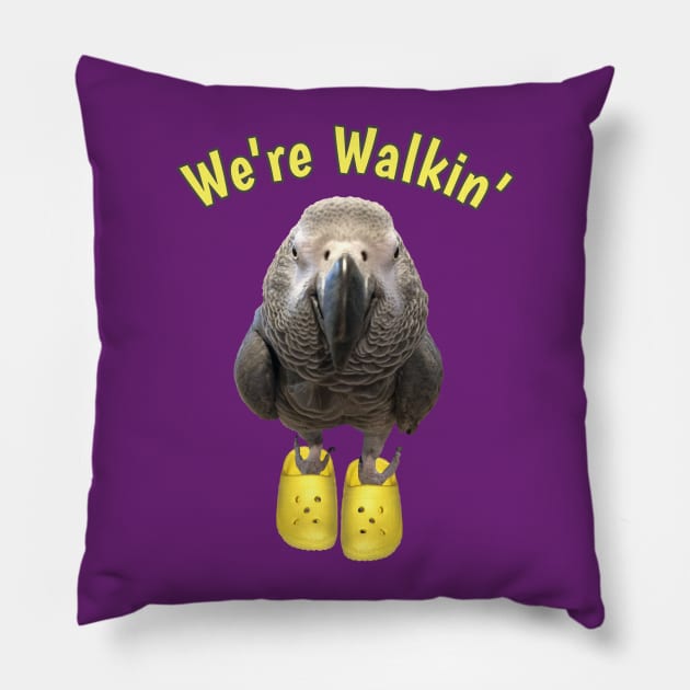 African Grey Parrot Walking Exercise Pillow by Einstein Parrot