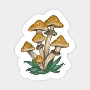 golden teacher shrooms Magnet