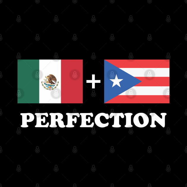 Aesthetic Mexican Plus Puerto Rican Perfection Funny by dewinpal