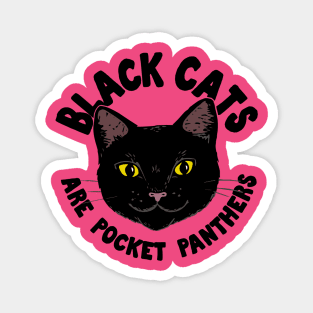 Black Cats are Pocket Panthers Magnet