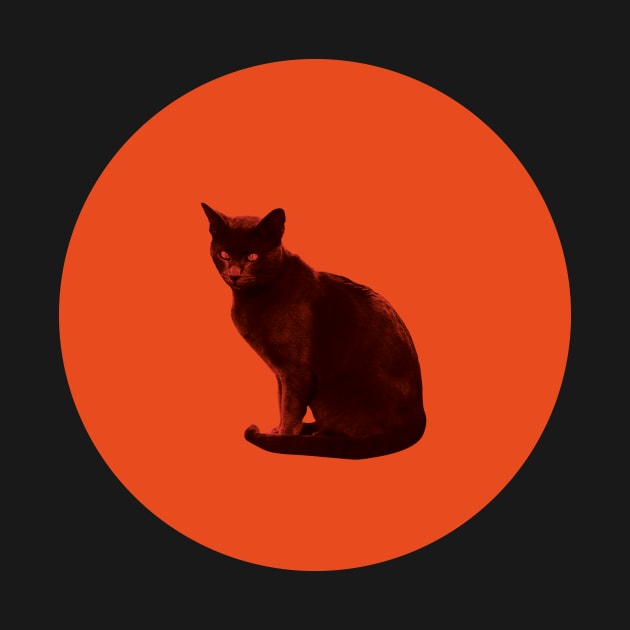 orange cat by frndpndrlc