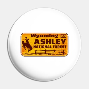 Ashley National Forest License Plate Wyoming Rusted Pin